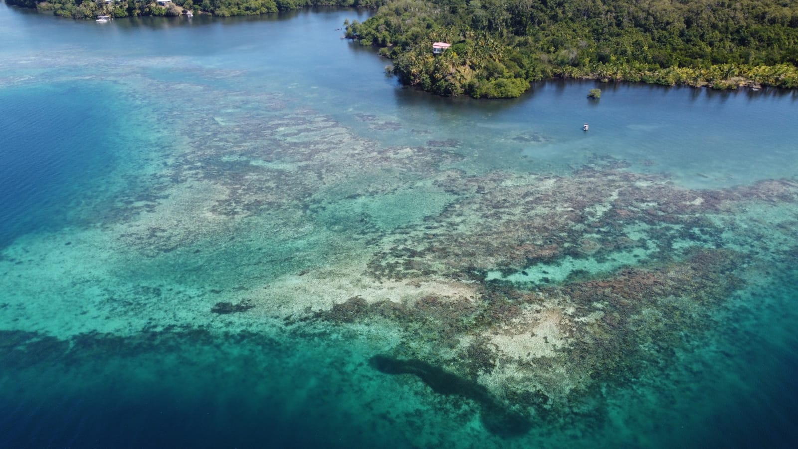 Coral reef systems surrounding the peninsula